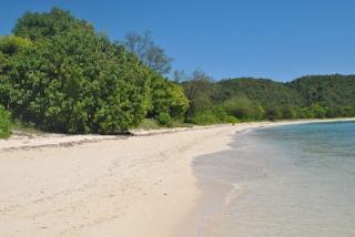 Wisata Pantai Pasir Putih di Manggarai Timur NTT